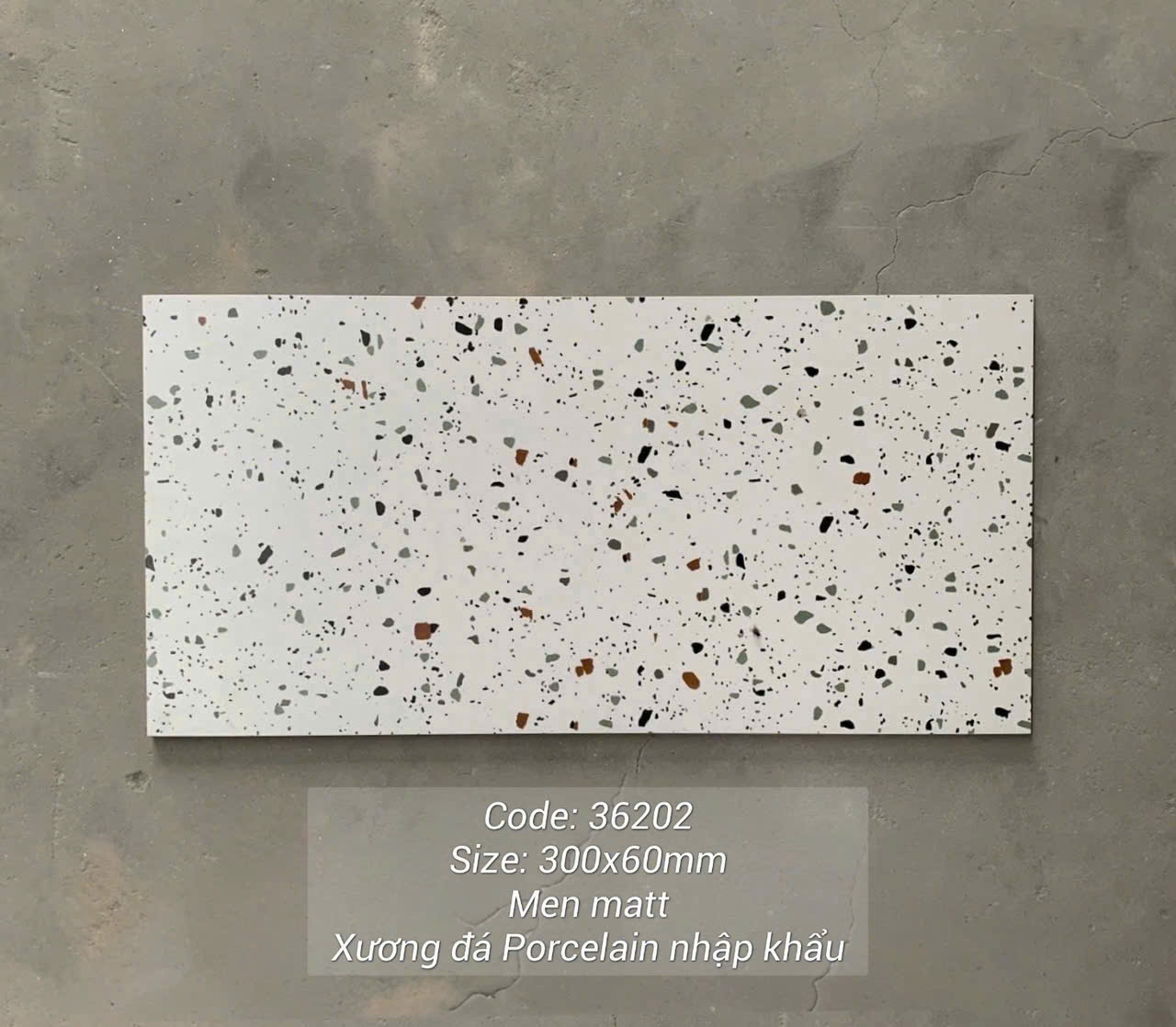 Gạch terrazzo 30x60 mã 36202